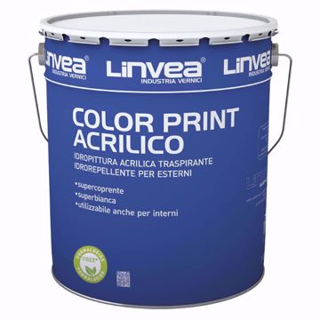 Angelella  Vernice Finale Opaca per colori a olio ml 250