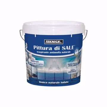 Pittura-di-sale-lt5_Angelella