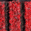 7212-rosso_Angelella