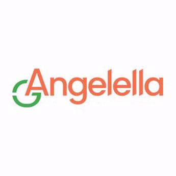 Picture for manufacturer ANGELELLA