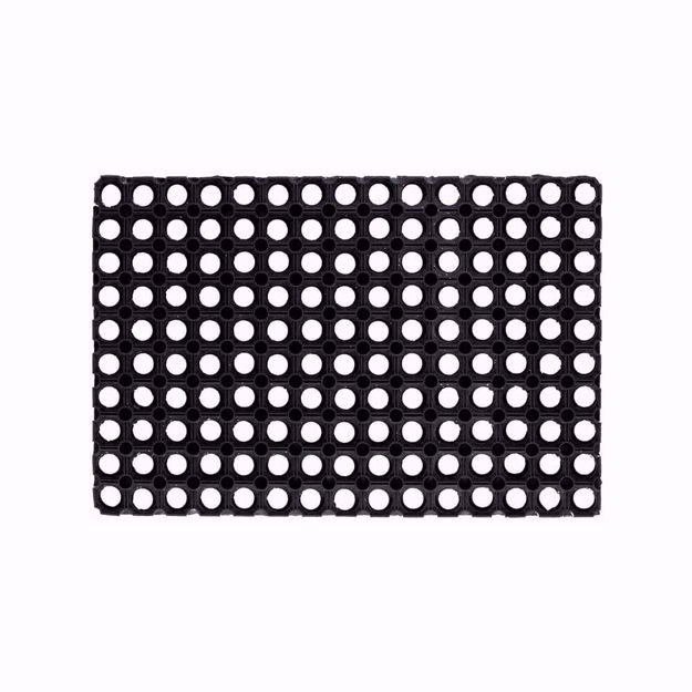 Zerbino-compos-50x100_Angelella