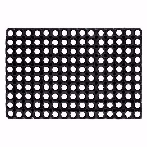 Zerbino-compos-100x150_Angelella