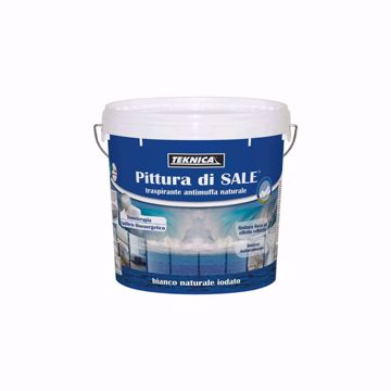 Pittura-di-sale-lt2,5_Angelella