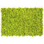 Muschio stabilizzato pareti verdi lichene MOSSwall 55 Wasabi 40x60 cm