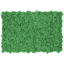 Muschio stabilizzato pareti verdi lichene MOSSwall 54 Mint 40x60 cm