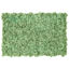 Muschio stabilizzato pareti verdi lichene MOSSwall 66 Green Pepper 40x60 cm