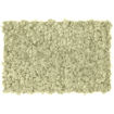 Muschio stabilizzato pareti verdi lichene MOSSwall 56 Natural 40x60 cm