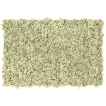 Muschio stabilizzato pareti verdi lichene MOSSwall 56 Natural 40x60 cm