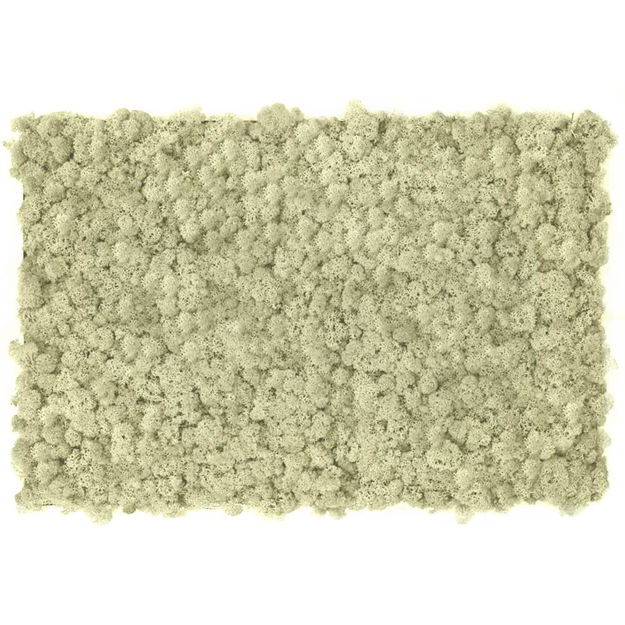 Muschio stabilizzato pareti verdi lichene MOSSwall 56 Natural 40x60 cm