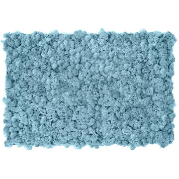 Muschio stabilizzato pareti verdi lichene MOSSwall 85 Lavander 40x60 cm