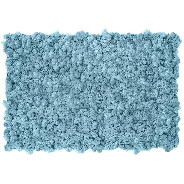 Muschio stabilizzato pareti verdi lichene MOSSwall 85 Lavander 40x60 cm