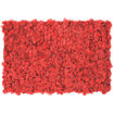 Muschio stabilizzato pareti verdi lichene MOSSwall 57 Red Pepper 40x60 cm