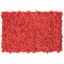 Muschio stabilizzato pareti verdi lichene MOSSwall 57 Red Pepper 40x60 cm