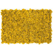 Muschio stabilizzato pareti verdi lichene MOSSwall 60 Curry 40x60 cm