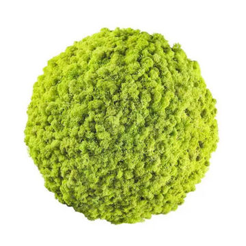 Sfera Muschio stabilizzato pareti verdi lichene MOSSwall Round 40 cm