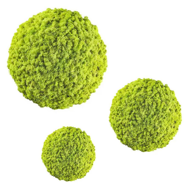 Angelella  Sfere Muschio stabilizzato pareti verdi lichene MOSSwall Round  30+25+20 cm pz 3