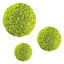 Sfere Muschio stabilizzato pareti verdi lichene MOSSwall Round 30-25-20 cm