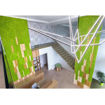 Pannello boiserie muschio MOSSwall 40x60 cm per pareti verde verticale
