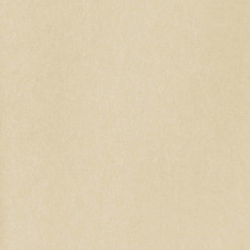 Moquette fiere eventi Elea colore Arancio Offwhite