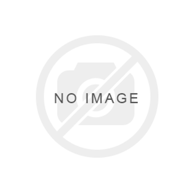 Immagine di SCALA SECURITY 6 GRADINI ART. 552