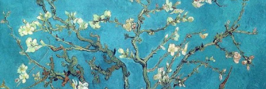 Angelella, Van Gogh, fiori mandorlo