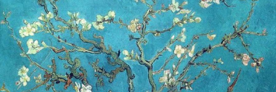 Angelella, Van Gogh, fiori mandorlo